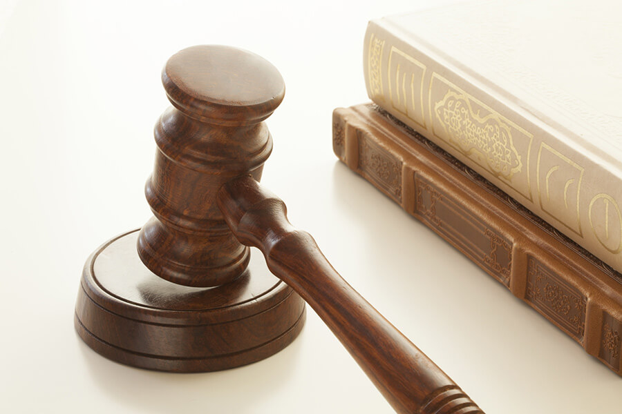 Interpretación para Procesos Legales